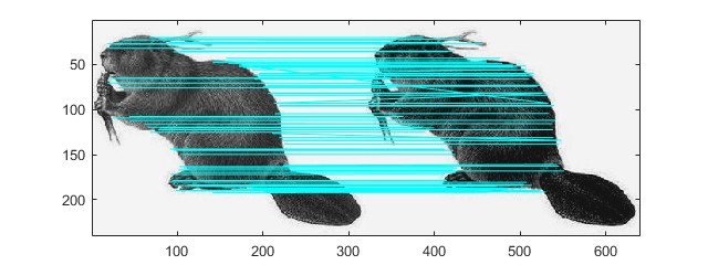 siftȡͼ׼㷨matlab